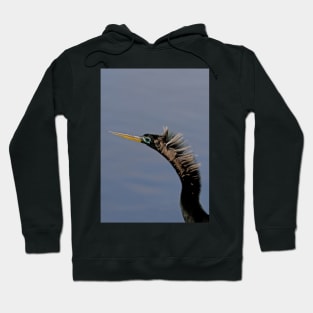 Anhinga - Florda Hoodie